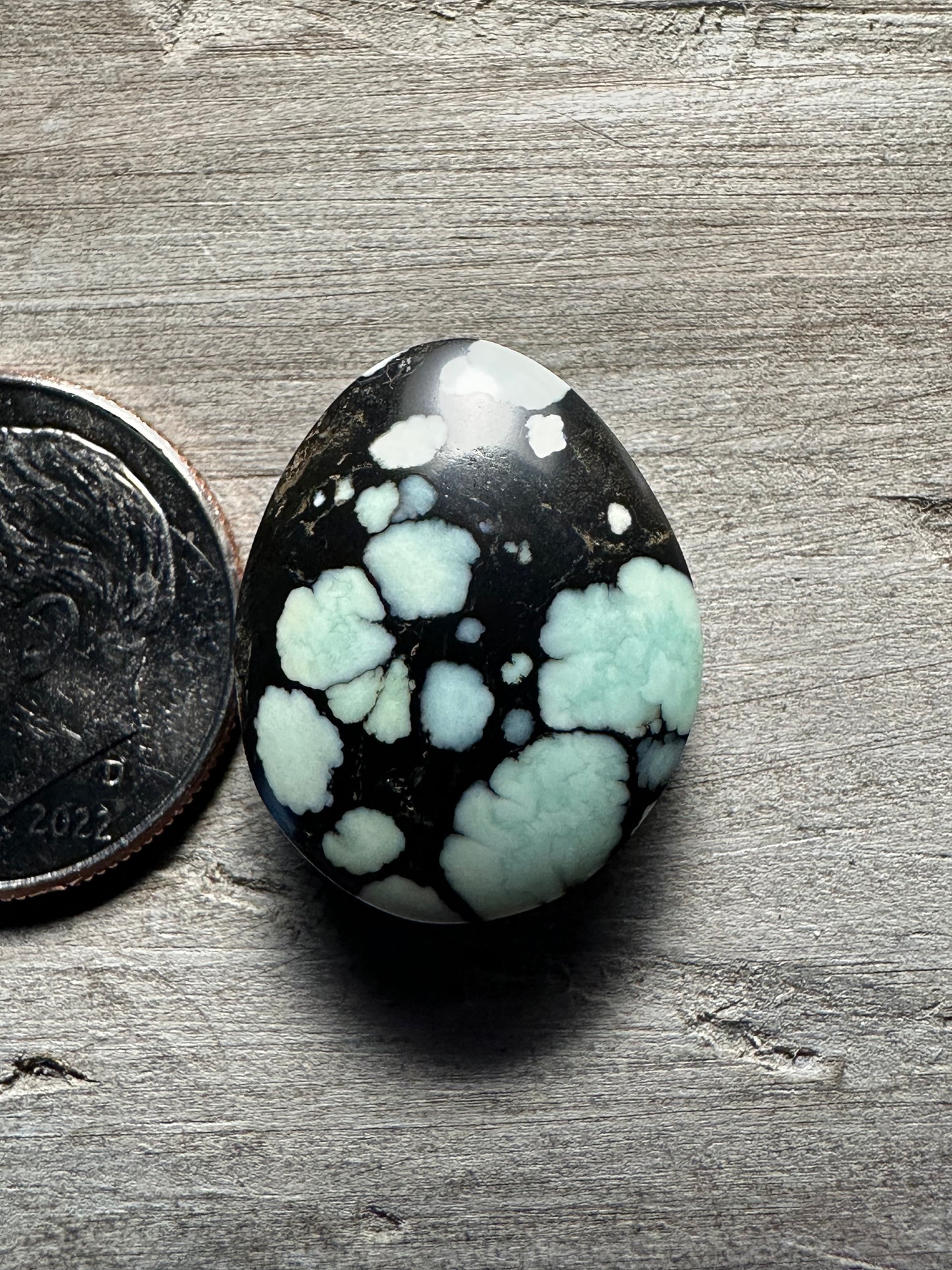 Desert Bloom Variscite